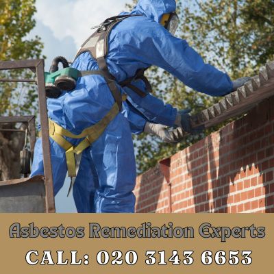 Asbestos Remediation Experts Headley